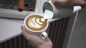 Máy pha cà phê Espresso chuyên nghiệp 3 trong 1 thương hiệu Mỹ cao cấp HiBREW - H7B. Hàng chính hãng