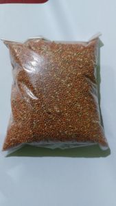 250gr Jawawut Repack Pakan Burung Kutut Blacktroat Dll