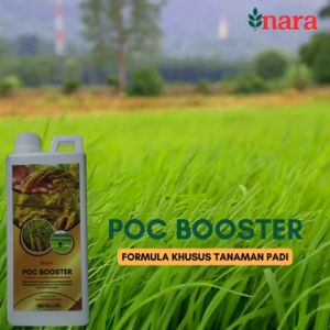Pupuk Padi Sawah Terbaik & Obat Padi Biar Buah Lebat