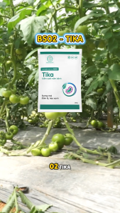 BS02 Tika Trị Sương Mai Đốm Lá Gỉ Sắt Héo Xanh Trên Rau Màu Cây Kiểng Cảnh 25g 100g 250g - Bác Sĩ Cây Xanh