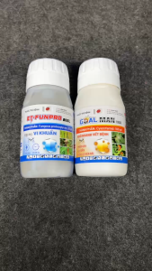 COMBO NGỪA NẤM – VI KHUẨN BẦU BÍ DƯA | PHÒNG SƯƠNG MAI – ĐỐM LÁ – THỐI TRÁI – CHÁY LÁ