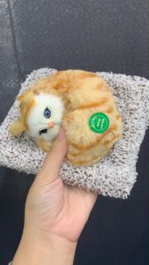 ตุ๊กตาแมวเหมียวดับกลิ่น มีเสียงร้อง, ถุงดับกลิ่น ปรับอากาศ, ดูดกลิ่นในรถ เสื้อผ้าน่ารักเหมือนจริง