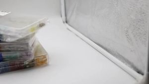 Bộ 100 Cầu Chì Ô Tô Các Loại Bộ Hồ Sơ Kích Thước Trung Loại Lưỡi Cầu Chì Ô Tô Xe Tải 2-35A Cầu Chì Có Hộp Kẹp