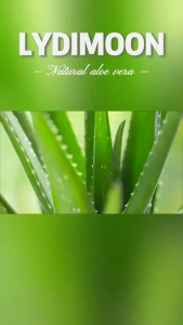 【SG SELLER】Hydrating Aloe Vera Gel Moisturizing Shrinking Pores Oil Control After-sun Repair Acne Removal For Men and Women 40g