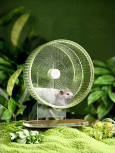 CARNO | Silent Running Wheel for Hamsters