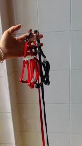 Bộ dây dắt bản dẹp kèm yếm và vòng cổ cho Chó Mèo nhỏ dưới 4kg - Love Pets Shop