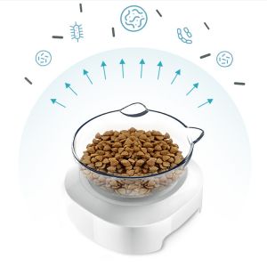 HATELI Double Dog Cat Bowls Anti Vomiting Elevated Cat Food Water Bowls with 15° Tilted Raised Stand Pet Feeder Bowl for Cats and Small Dogs