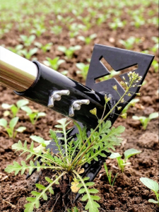 ZHENGQI | Stainless Steel Dual-Use Hoe Rake Weeding and Cultivating