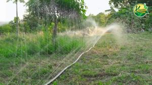 เทปน้ำพูท 3-5 รู 6 หุน 1 นิ้ว ยาว 100 มิตร หนา 0.2 มิล ระบบบ้านน้ำพูท สายน้ำพูท ระบบน้ำ รดน้ำต้นไม้ K FARM