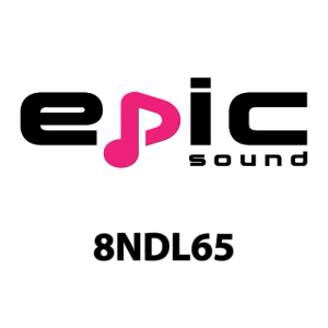 8" Epic Sound Neodymium Subwoofer 4Ohms 200-400W With 65mm Voice Coil - 8NDL65