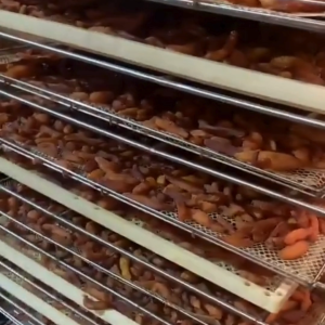 ยินดีต่อไปกับ 500 กรัม 250 กรัม และ 100 กรัม ขนมหวาน ขนมนำเข้า ถูกๆ อาหารแห้ง ขนมต่างประเทศ เพื่อการเก็บเหรียญในกระเป๋าที่มีความสวยความงาม สุขภาพถูกๆ