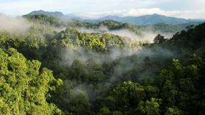 Balance Bike For Kids Kids Balance Bike With Training Toddler Bicycle Balance Bike For Toddler Scooter