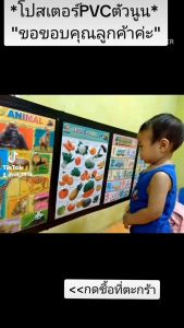 โปสเตอร์เด็ก ก.ไก่ พยัญชนะไทย สระ  สูตรคูณ วันเดือน (ลายเยอะ)