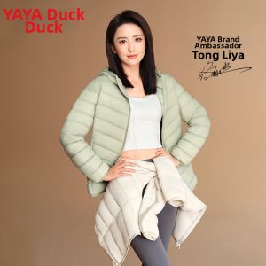 YAYA |Slim Hooded Short Quilted Jacket