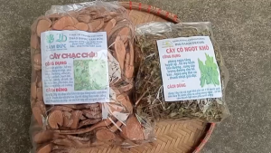 100g cây chạc chìu sấy khô hữu cơ TẶNG 50G CỎ NGỌT