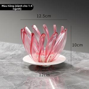 MONGDIO | Bộ Lọc Pha Cà Phê Thấm V60
