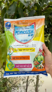Thuốc Trừ Bệnh PENNCOZEB 80 WP XANH – Bệnh Thán Thư Bệnh Đốm Lá Bệnh Rỉ Sắt (Gói 1Kg)