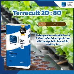 พีทมอส Terracult สูตร 20:80 ขนาด 70 ลิตร  สำหรับเพาะเมล็ดทุกชนิด และใช้เป็นวัสดุปลูกพืชผัก พืชสวนทั่วไป และ พืชสมุนไพร