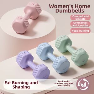 Compact Fitness Dumbbell 2-3kg