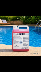 Algaecide For Swimming Pool 5KG | Pool Algae Remover | Kill and Prevent Green Water Algae Treatment