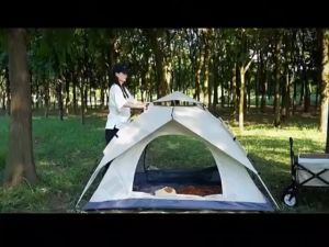 2/3/4 Person Double Single Layer Outdoor Camping Tents Waterproof Fully Automatic Foldable Hiking Tent