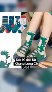 Set 10 Đôi Tất Vớ Cotton Họa Tiết Hoạt Hình Khủng Long Cho Bé Chất Mịn Đẹp (1-12)