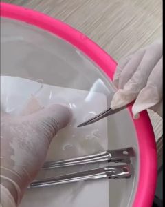 sarang burung walet atau YENWO asli kotor mangkok/sudut/oval per 10gram