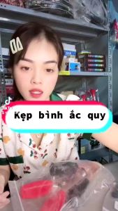 1 đôi Kẹp bình ác quy ô tô loại to/nhỏ