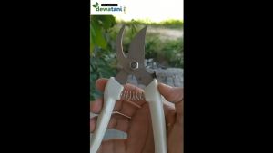 Gunting Tanaman Untuk Potong Batang Dahan Ranting Pohon Bonsai - Gunting Pruning Stek