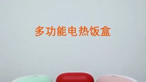 🔥FAST SHIPPING🔥 KARODO Smart Lunch Box |  3 IN 1 Mini Multi Cooker | Electric Food Container | Stainless Steel Heating