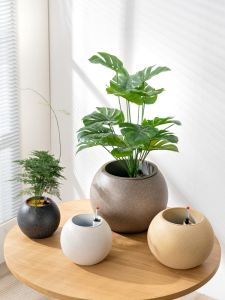 Large Creative Spherical Plastic Flower Pots White Belly Pots No Hole Hydroponics Lazy Automatic Water Absorption Flower Vases
