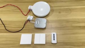 86 Wireless Smart RF 433Mhz 100-220V Wall Panel with Remote Control Mini Relay Receiver Home Led Light Lamp Switch
