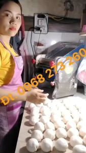 Máy Cán Bột Bánh Bao Bánh GốiĐế Piza Bản INOX Cao Cấp 750W