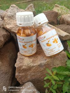 MADU BAWANG TUNGGAL OBAT ALAMI DARAH TINGGIKOLESTEROLSTAMINADIABETESASAM URAT