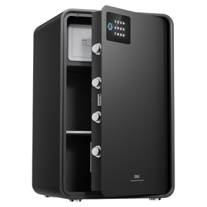 deli | Fingerprint Password Home Small Safe 45/60cm