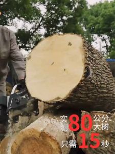 16 inch Cordless chainsaw battery Gergaji batteri elektrik pokok 电锯 Mesin potong kayu electric chain saw cut 50m