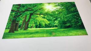 Tranh dán tường VTC cảnh rừng cây đẹp RC0055 kim sa nhiều mẫu và kích thước khác nhau