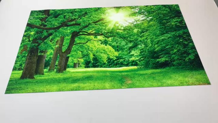 Tranh dán tường VTC cảnh rừng cây đẹp RC0055 kim sa nhiều mẫu và kích thước khác nhau