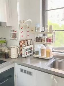 JIAJIESHI | Multifunctional Adjustable Spice Organizer Stand