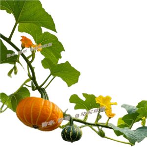 Tấm Dính Tủ Lạnh Hình Quả Bơ Hoa Tươi Tấm Lót Trang Trí Cửa Tủ Lạnh Tấm Dính Chống Thấm Nước Cho Tủ Lạnh Hai Cửa Và Bốn Cửa