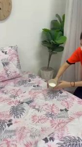 Ga Chống Thấm Cao Cấp PT Mẫu Họa Tiết Dương Xỉ