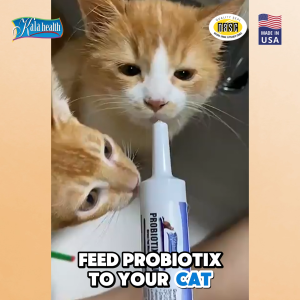 Kala Health Probiotix Plus 15g – Digestive Supplement for Dogs & Cats Gut Health Probiotic & Prebiotic