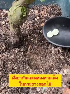 1 เม็ดยาฆ่าแมลง 120 วัน มากมาย 200 ชิ้น ยาเชื้อรา พืช กำจัดแมลงแมว ยากำจัดฆ่าแมลง ยากำจัดสัตรูปืช