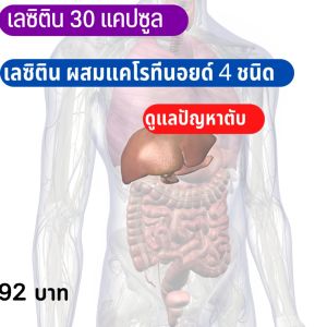 เลซิติน 30 แคปซูล - ส่งฟรี - เลซิตินกิฟฟารีน ดูแลตับ ดื่มแอลกอฮอล์ เลซิตินของแท้ วิตามินอี ไขมันในเลือด ไขมันพอกตับ วิตามินตับ เลซิติน
