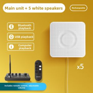Wireless Bluetooth Multi-zone Wall-mounted Commercial Speaker