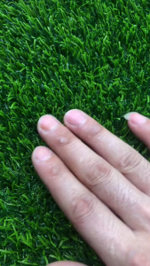 3CM Artificial Grass Carpet Premium Lawn Highly permeable Applicable to multiple scenarios 4UV