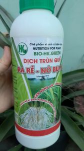 CHUYÊN DƯỠNG LÚA RA RỄ - NỞ BỤI RƯỚC ĐÒNG LÚA NO HẠT. BỘ DƯỠNG LÚA CHAI 1 LÍT