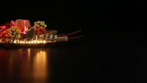 [PRE-ORDER] Light Kit 10314 Dried Flower Centerpiece