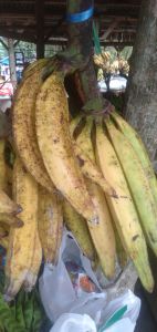 PISANG TANDUK MADU SUPER 1 TANDAN ISI 15 BUAH PICS