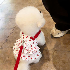 Petone dOrage | Cute Cherry Strap Summer Lightweight Dress for Small Dogs